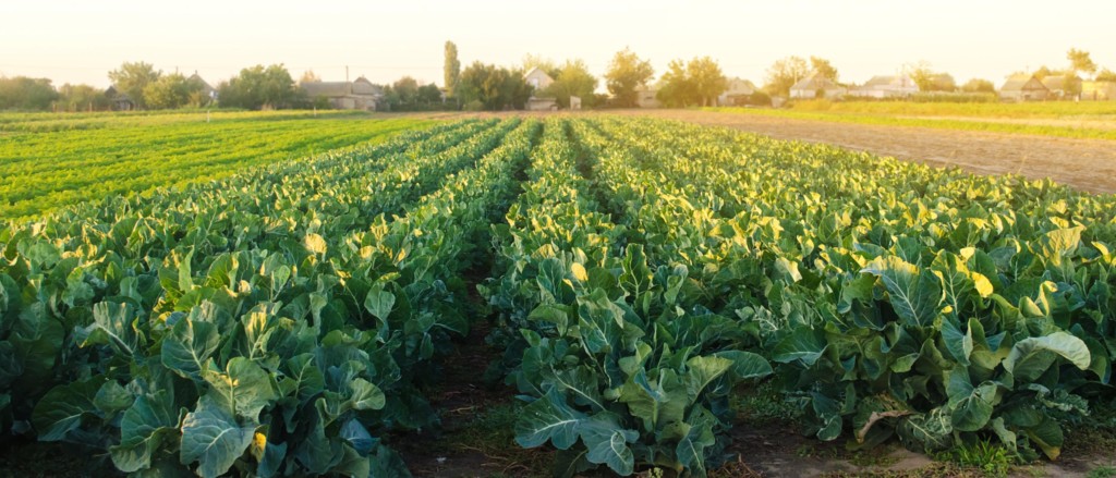 AGRIVI is an AgriTech company from Croatia, whose approach to solving ...