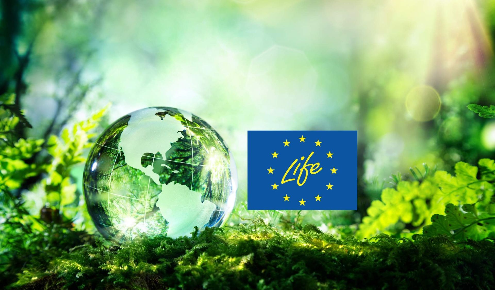 LIFE programme funding for environment projects