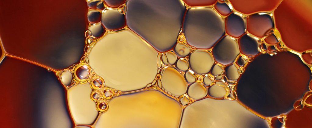 Woodzymes: Enzyme solutions to enhance sustainability of industries