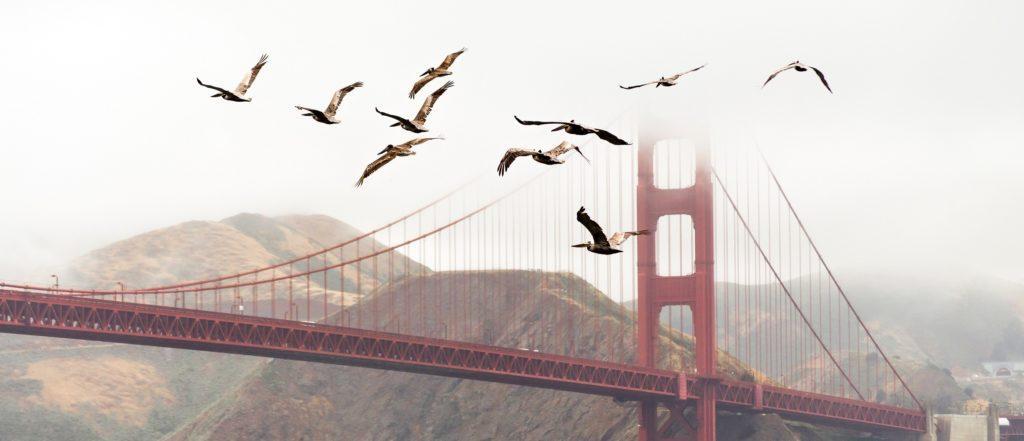 FastBeam: Faster bridge repair methods