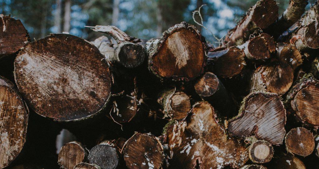 Kaidi: A biofuel refinery investment project