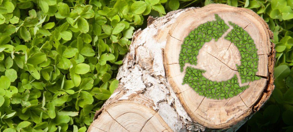 IMPRESS: New hybrid biorefinery processes to integrate upstream and downstream technologies