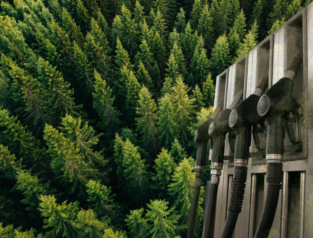 NewLiEP: Injecting new life into cellulosic ethanol production