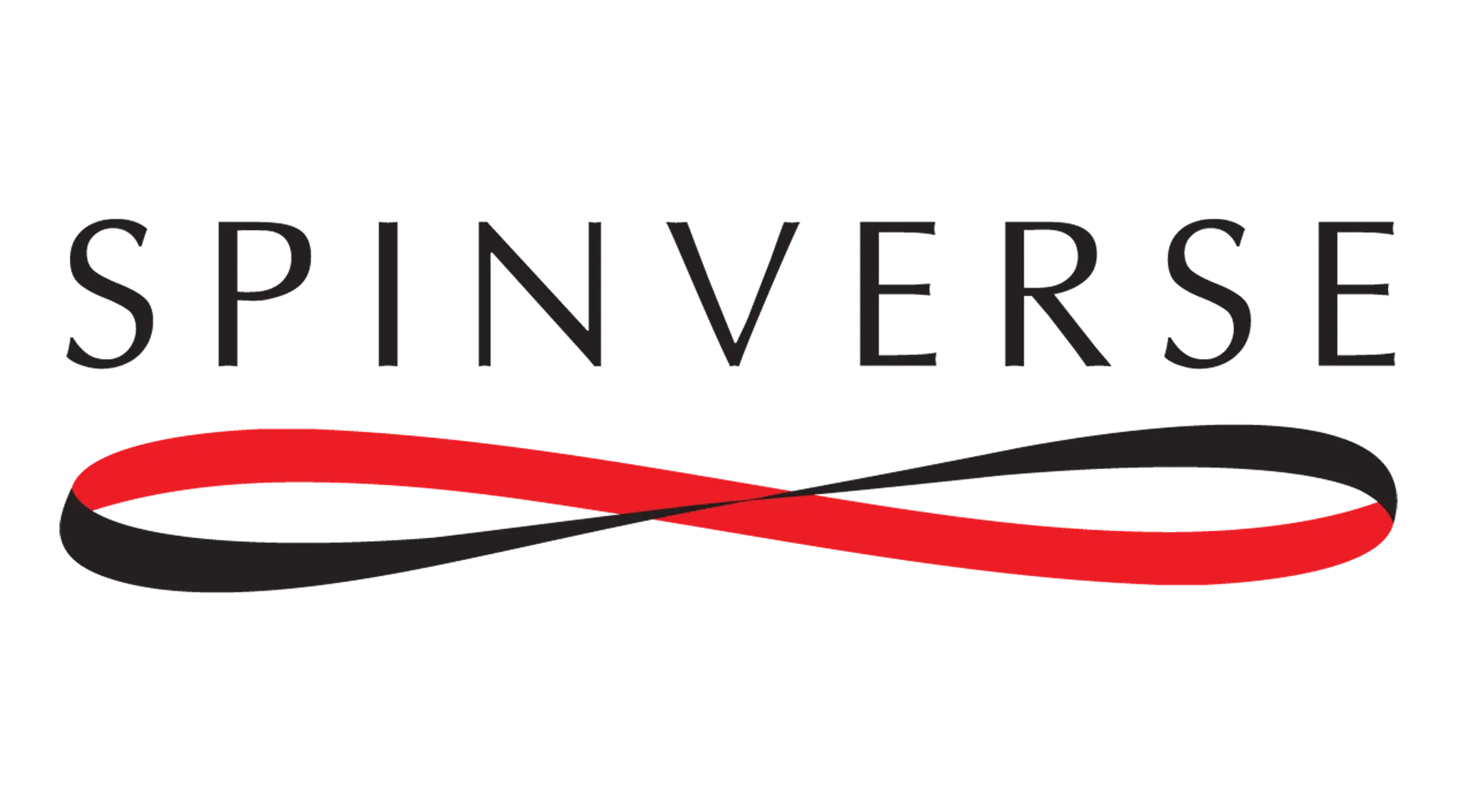 Spinverse